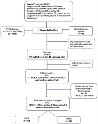 Efficacy of ketamine for comorbid depression and acute or chronic pain: A systematic review